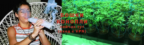 PSILOCYBIN Бородино